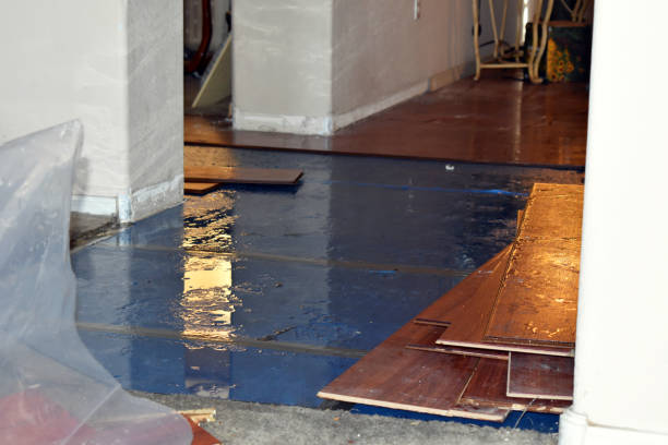 Professional Emergency Water Damage Restoration technician working in Alvada, OH